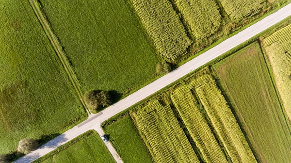 Ovanifrån av fält. — Stockfoto