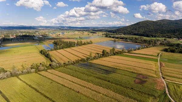 Vista aérea de los campos inundados . — Foto de Stock