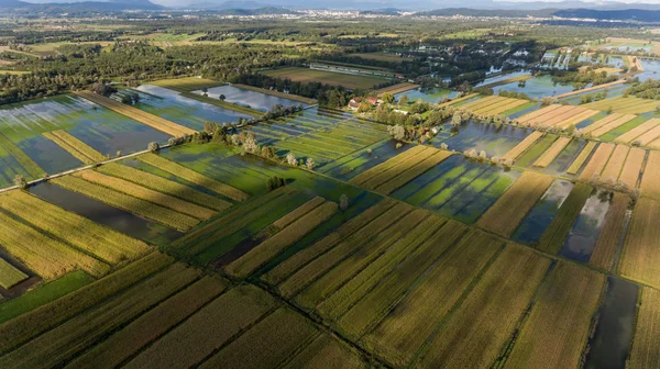 Veduta aerea dei campi allagati . — Foto Stock