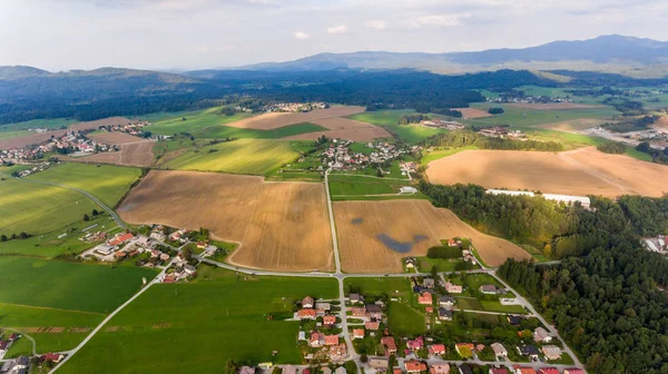 Vue aérienne des champs agricoles . — Photo