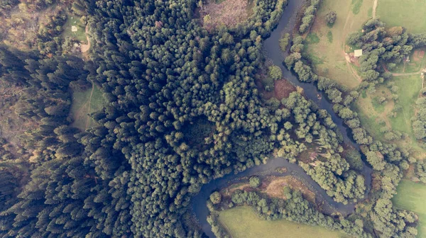 A légi felvétel a folyó kanyar erdőben. — Stock Fotó