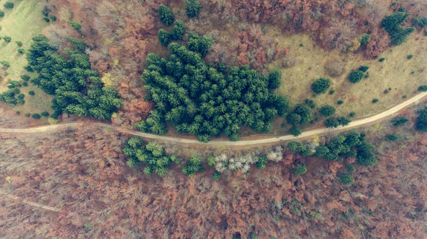 Εναέρια άποψη του δρόμου μέσα από δάσος. — Φωτογραφία Αρχείου