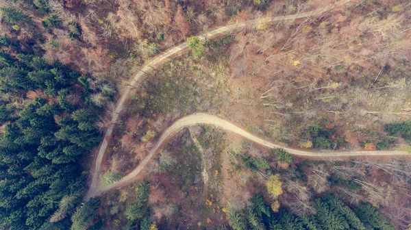 道路转弯的鸟图. — 图库照片