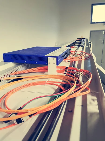 Cables de fibra óptica que funcionan desde un interruptor . —  Fotos de Stock