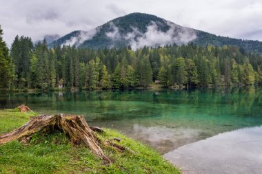 Orman Gölü Panoraması.