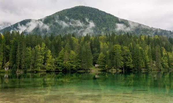 Panorama du lac forestier . — Photo