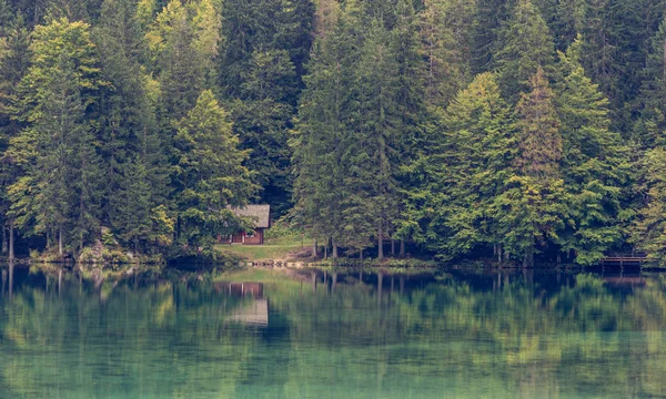 Trä stuga omgiven av tallskog vid sjöstranden. — Stockfoto