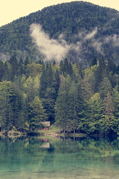 Cabane en bois entourée de pinèdes au bord du lac . — Photo