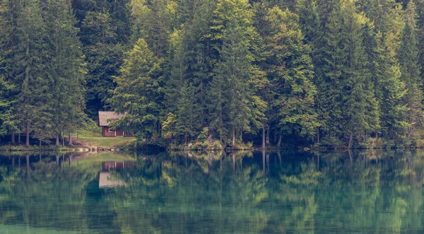 Holzhütte umgeben von Kiefernwald am Seeufer. — Stockfoto