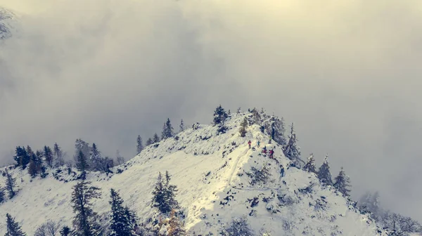 Bergbeklimmers op besneeuwde bergtop. — Stockfoto