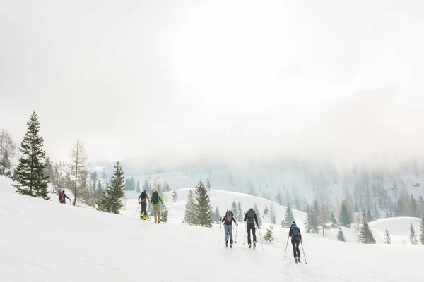 Groupe de skieurs de fond marchant dans une vallée brumeuse . — Photo