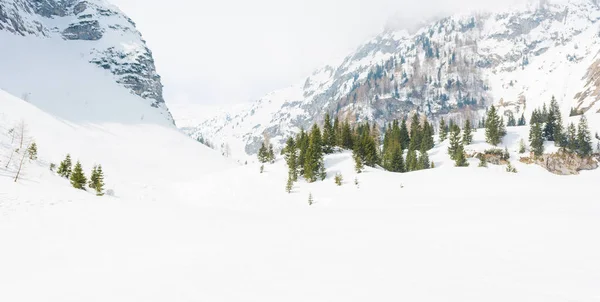 Snow covered slopes. — Stock Photo, Image
