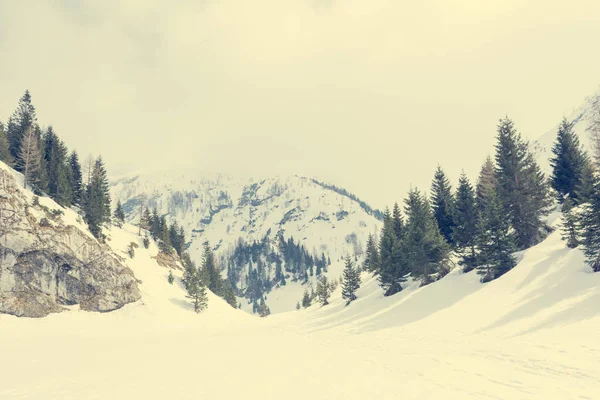 Vale de montanhas cobertas de neve. — Fotografia de Stock
