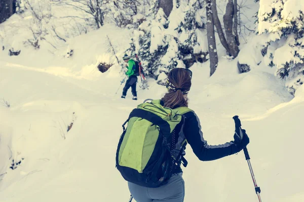 Escursionista femminile guardando attraverso di lei dovrebbe nella foresta invernale . — Foto Stock