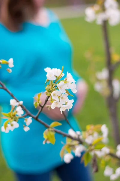 Gravida kvinnan bakom ett körsbärsträd. — Stockfoto