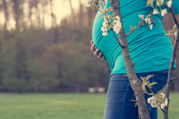 Крупный план беременного живота . — стоковое фото