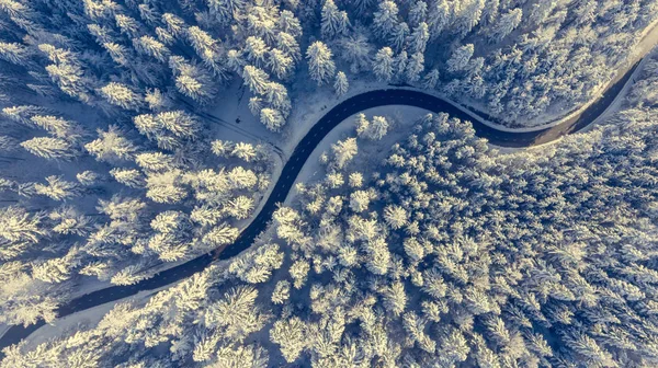 Estrada sinuosa através de uma floresta de inverno . — Fotografia de Stock