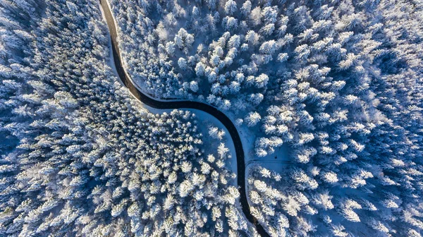 Kronkelende weg door een bos van de winter. — Stockfoto