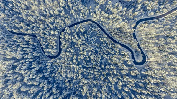 Estrada sinuosa através de uma floresta de inverno . — Fotografia de Stock