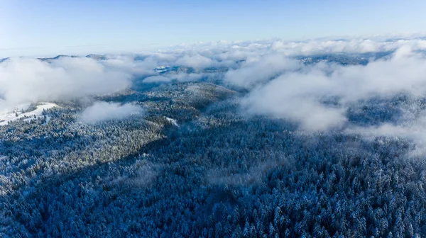 冬季森林的空中景观. — 图库照片