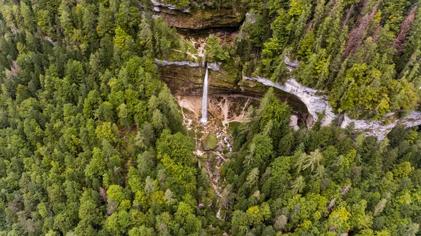 Vista aérea de doble caída de agua en un bosque . —  Fotos de Stock