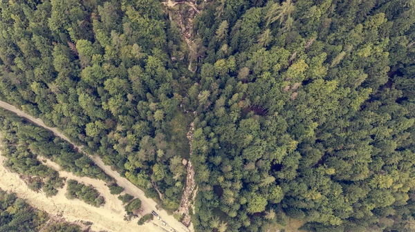 Vista descendente del lecho del río corriendo a través de un bosque . —  Fotos de Stock
