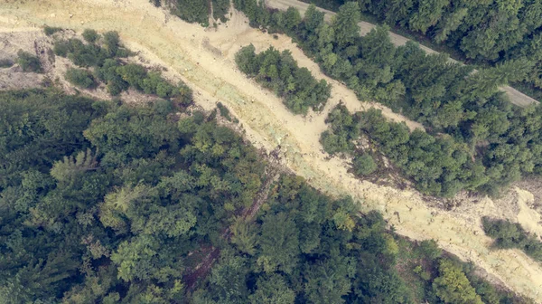 Drop Down Blick auf Flussbett, das durch einen Wald fließt. — Stockfoto