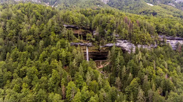 Vista aérea de doble caída de agua en un bosque . — Foto de Stock