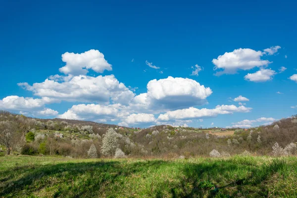 Krajina na jaře. — Stock fotografie