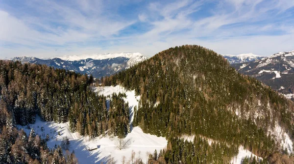 Spektakulär utsikt över skogen vinterlandskap. — Stockfoto