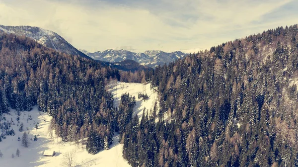 Spektakulärer Blick auf die winterliche Waldlandschaft. — Stockfoto