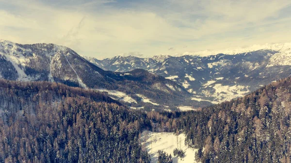 Spectaculair uitzicht op de winter boslandschap. — Stockfoto