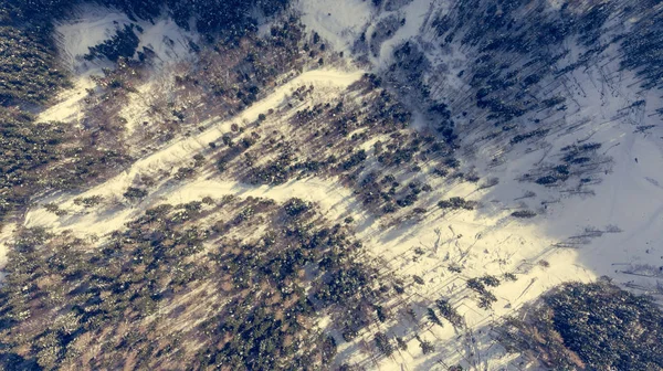 Панорамный вид на дорогу, проходящую через зимний лес . — стоковое фото