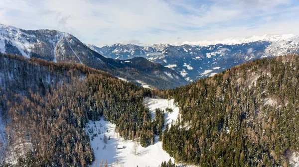Spektakulär utsikt över skogen vinterlandskap. — Stockfoto