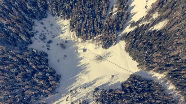 Yol kış orman içinden gidiyor görünümünü aşağı açılır. — Stok fotoğraf