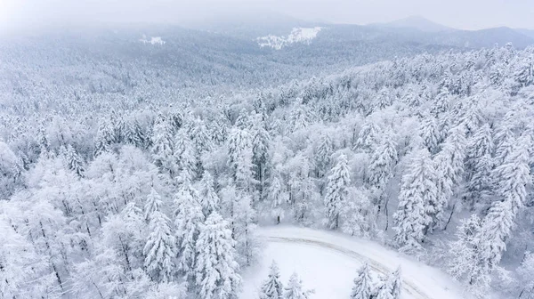 Descente d'une route à travers la forêt enneigée . — Photo