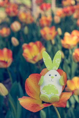 Sevimli tavşan oyuncak hidding turuncu Lale arasında.