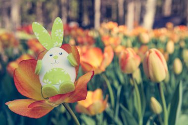 Sevimli tavşan oyuncak hidding turuncu Lale arasında.