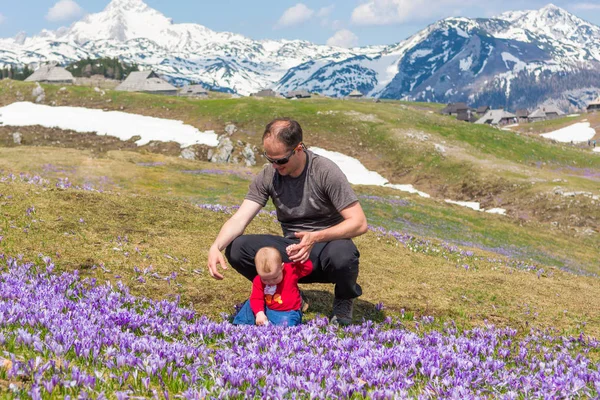 Pai e filha explorando flores de primavera . — Fotografia de Stock