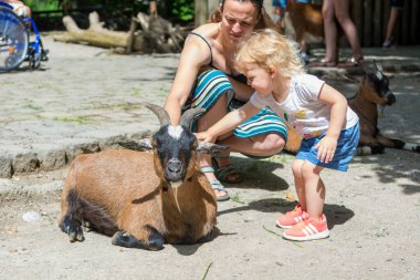 Anne ve kızı bir sürü keçiyle evcil hayvan çiftliğini geziyor..