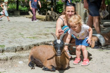 Anne ve kızı bir sürü keçiyle evcil hayvan çiftliğini geziyor..