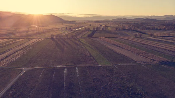 Воздушный обзор осенних полей на закате . — стоковое фото