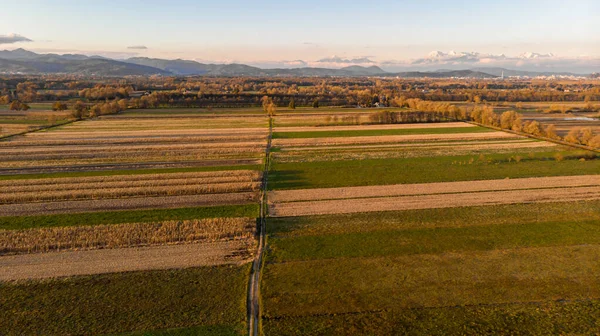 Vista aérea de los campos de otoño al atardecer . — Foto de Stock