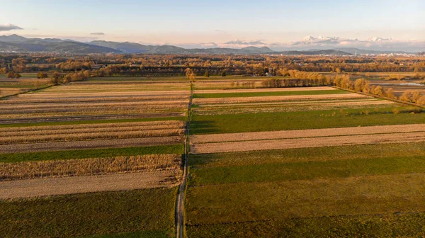 Veduta aerea dei campi autunnali al tramonto . — Foto Stock