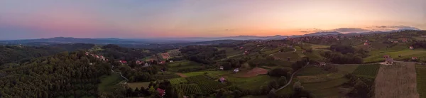 Aerial panorama of wine region countryside at sunset. — Stock Photo, Image