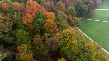 Renk değiştirmeye başlayan ağaç tepelerinin görünümünü alçalt.
