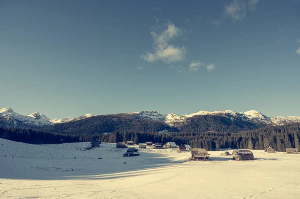 Prado de pastagem de montanha coberto de neve durante o dia . — Fotografia de Stock