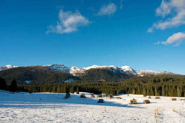 Łąka pastwiskowa pokryta śniegiem w ciągu dnia. Zdjęcia Stockowe bez tantiem