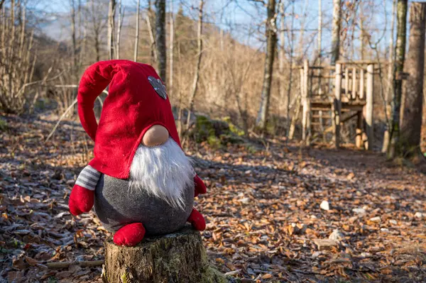 Dvärgdocka klädd i röd hatt sittande i en skog. — Stockfoto