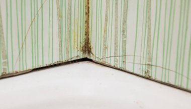 Şiddetli banyo kalıbı kiremitleri çatlatıyor..